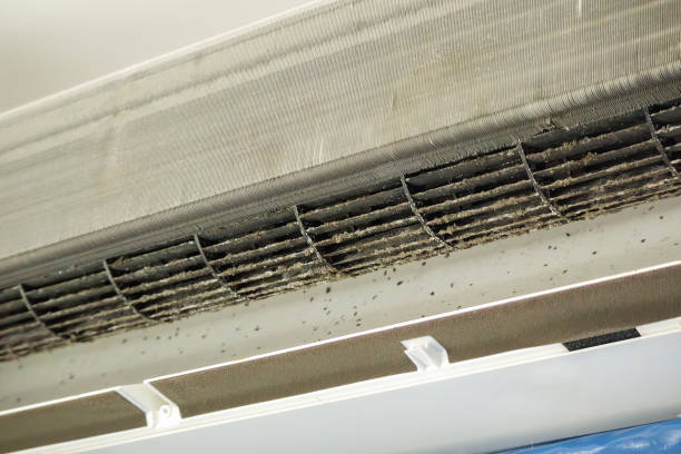 Best HVAC Duct Inspection Services  in Bee Ridge, FL